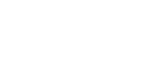 Central Digital & Data Office
